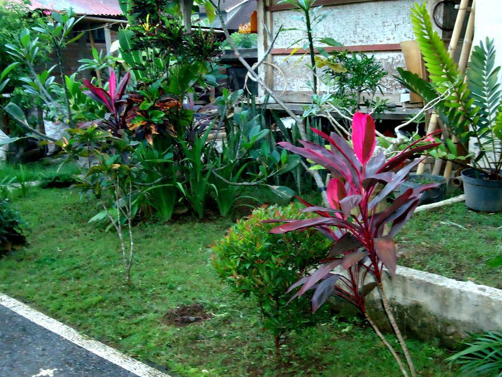 Dewa Put Guest House Ubud Esterno foto