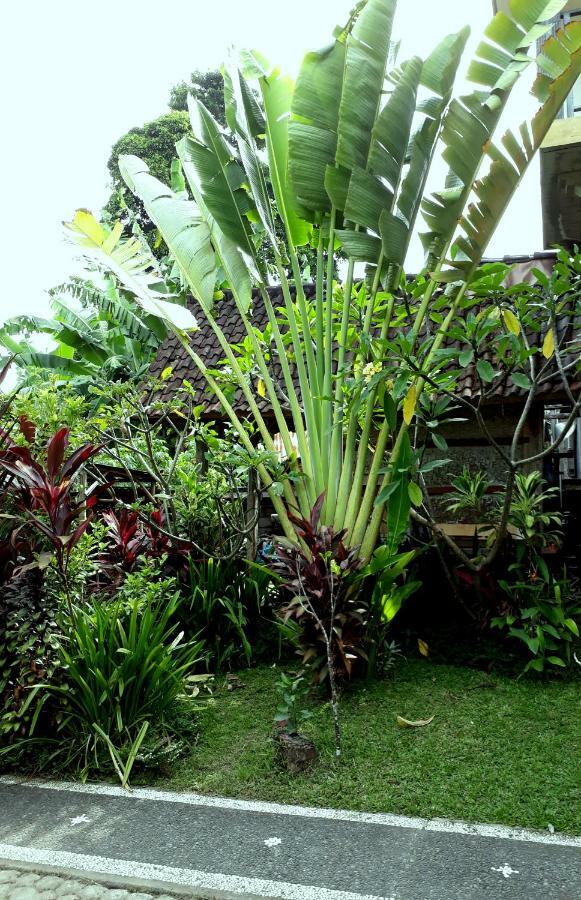 Dewa Put Guest House Ubud Esterno foto